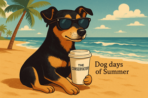 make a gif of a cool dog drinking coffee at the beach with "the conservatory"
 on the cup and a caption that says: Dog days of Summer. Make sure the caption is close to the dog and the font is small