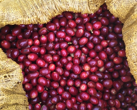 Decaf Colombia Royal Select Water Process