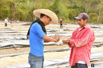 Decaf Honduras
