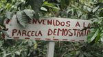 Organic Mexico Huatusco